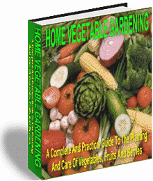 Home Vegetable Gardening